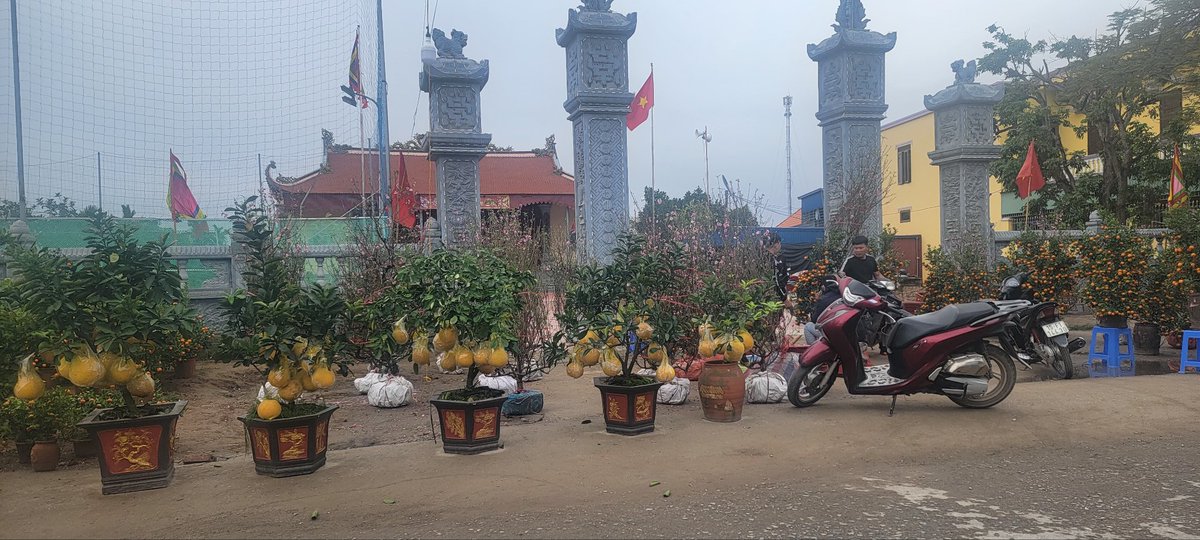 Ae tết nhất đến đẩu đầu đâu rồi?