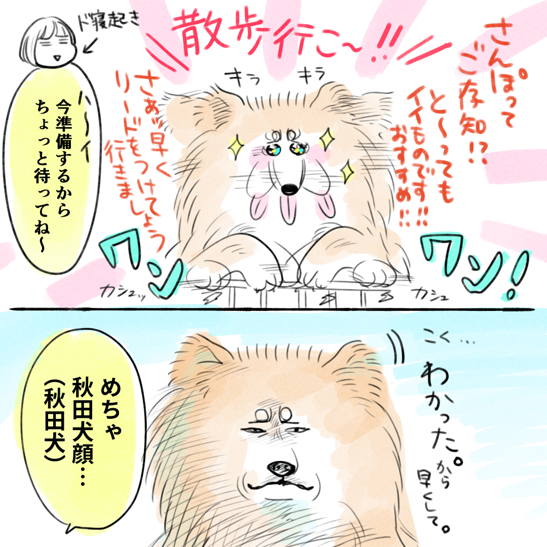 ～秋田犬にっき～ 「やっている」のに「やってない」顔をします 