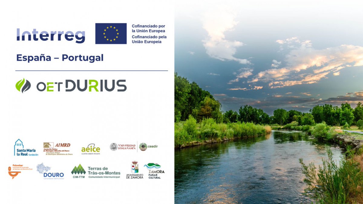 Apúntate al Seminario sobre Conectividad Ecológica en el Duero, proyecto #OETDurius @FundacionSMLRPH santamarialareal.org/es/noticias/ap… … #POCTEP🇪🇸🇵🇹