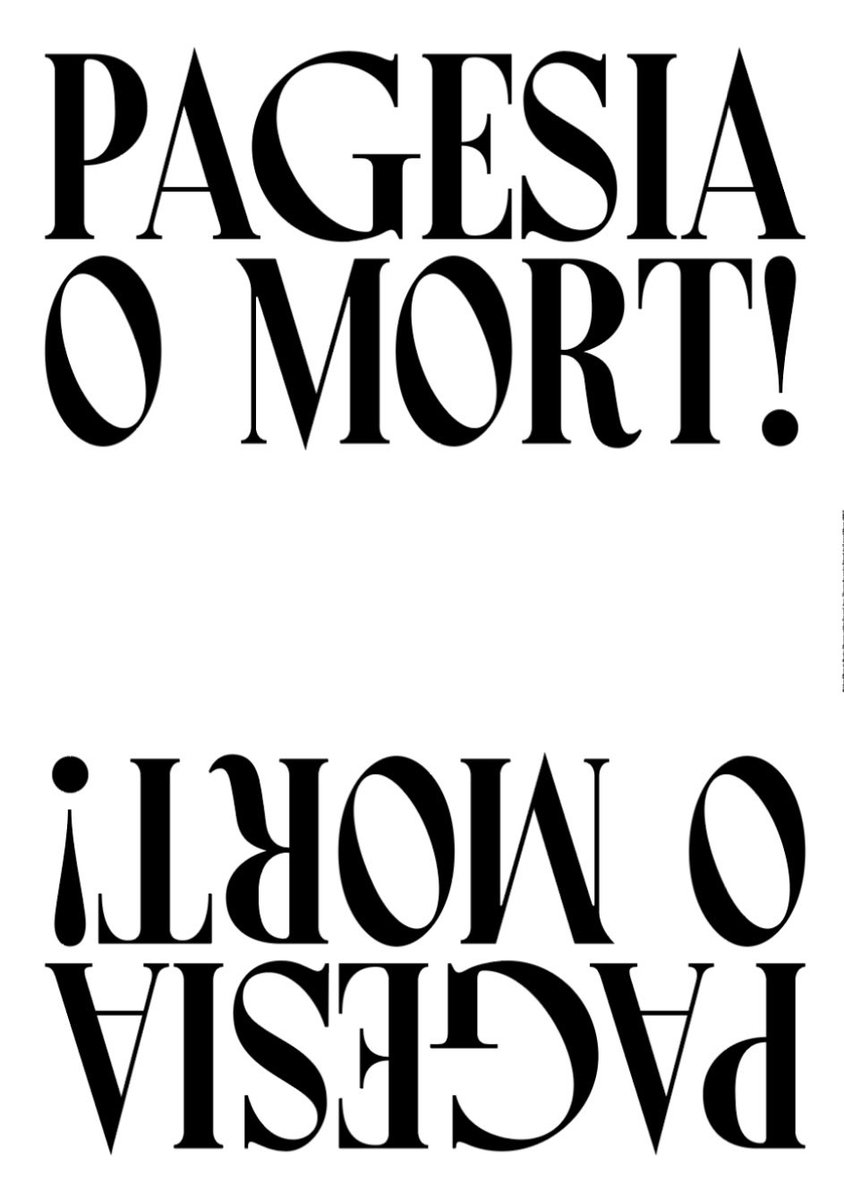 natza farré tweet media