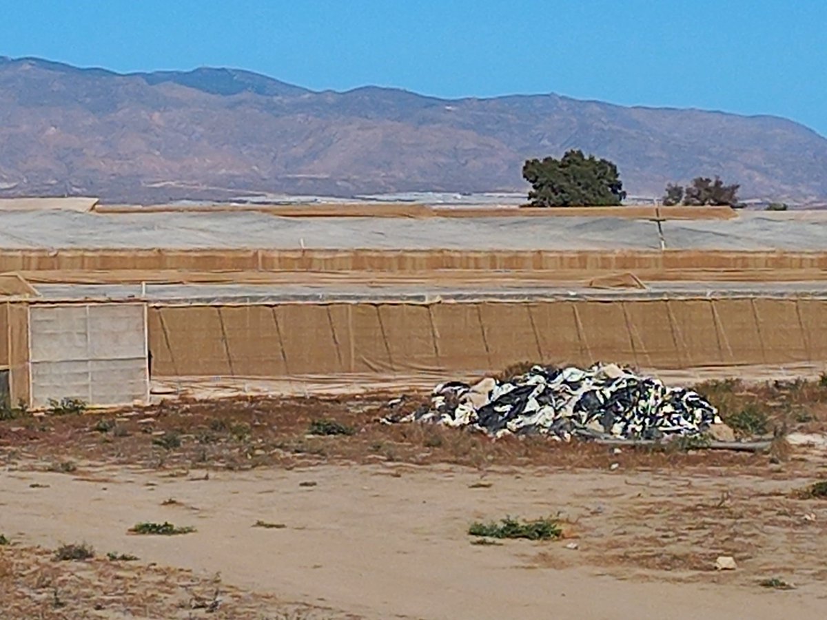El estado de sobreexplotación de los acuíferos de Almería es muy preocupante. Ello es debido a la gran expansión del regadío que se ha producido en la provincia en las últimas décadas. Un regadío intensivo que resulta insostenible. Hay que reducir la actual superficie regada.