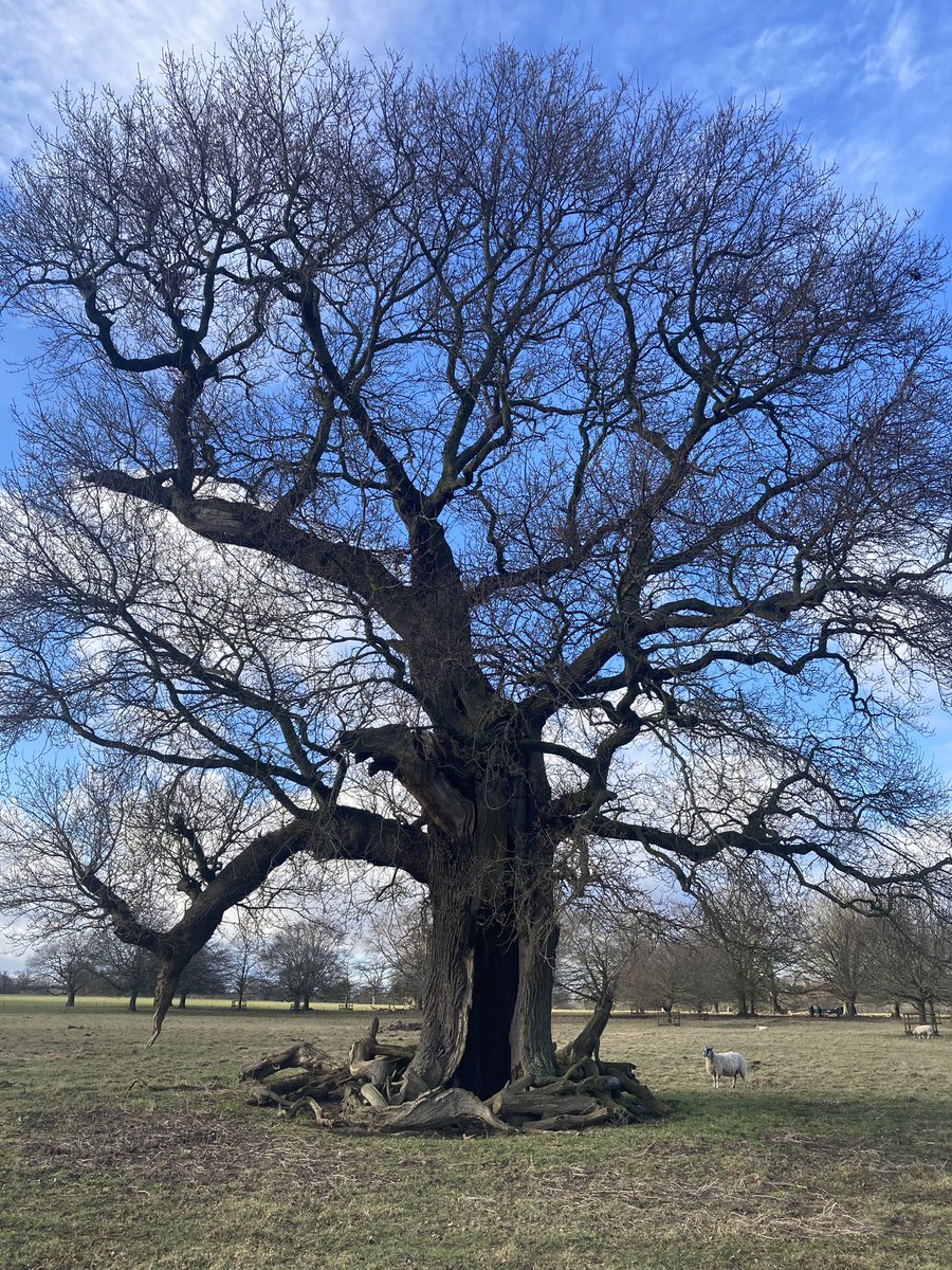 Alex Lowe tweet media