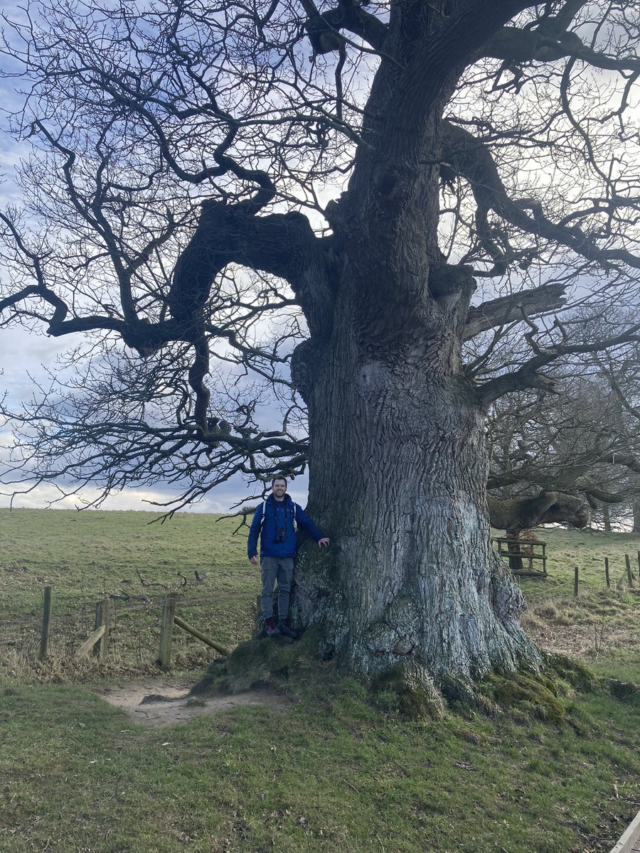 Alex Lowe tweet media