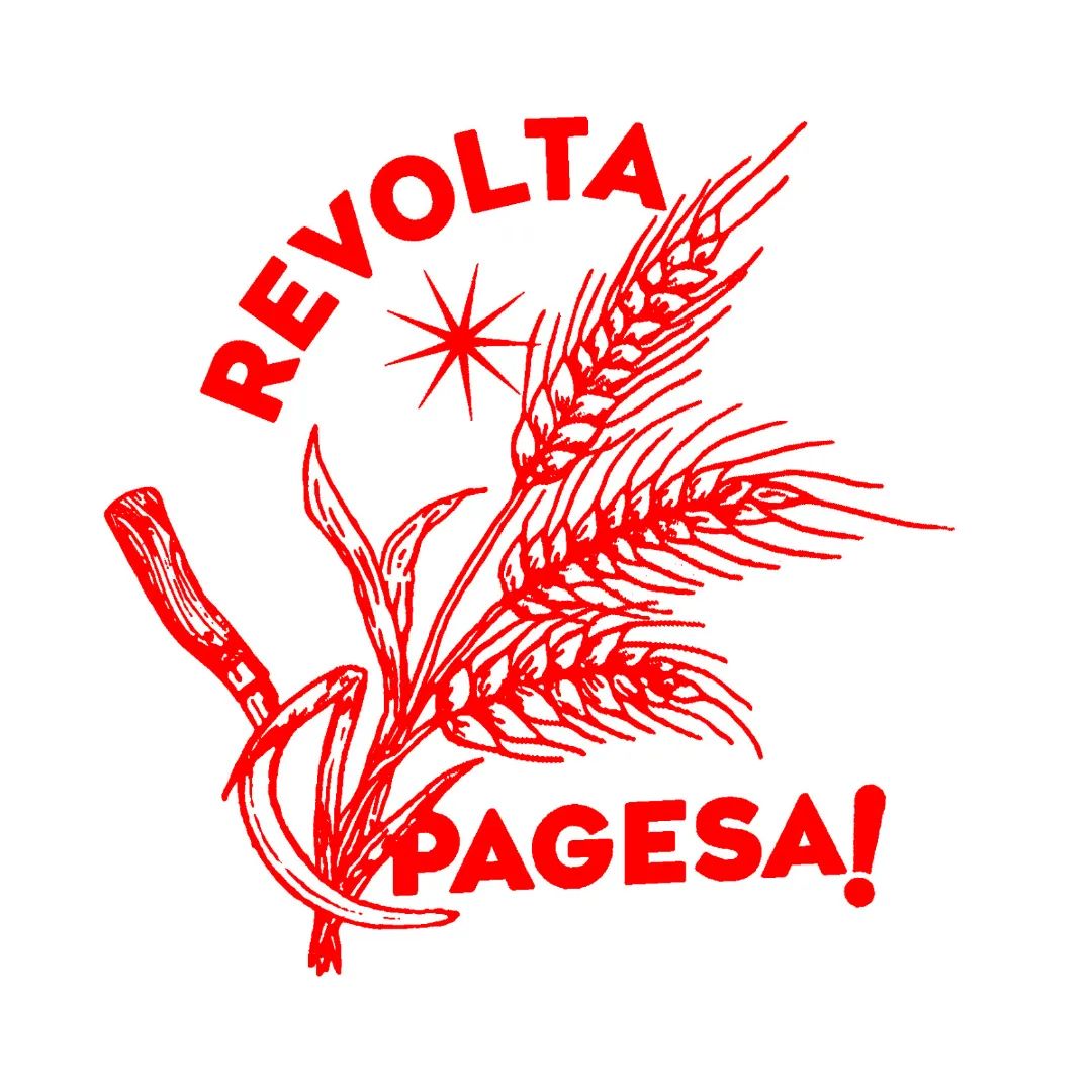 Mercè Vilalta tweet media