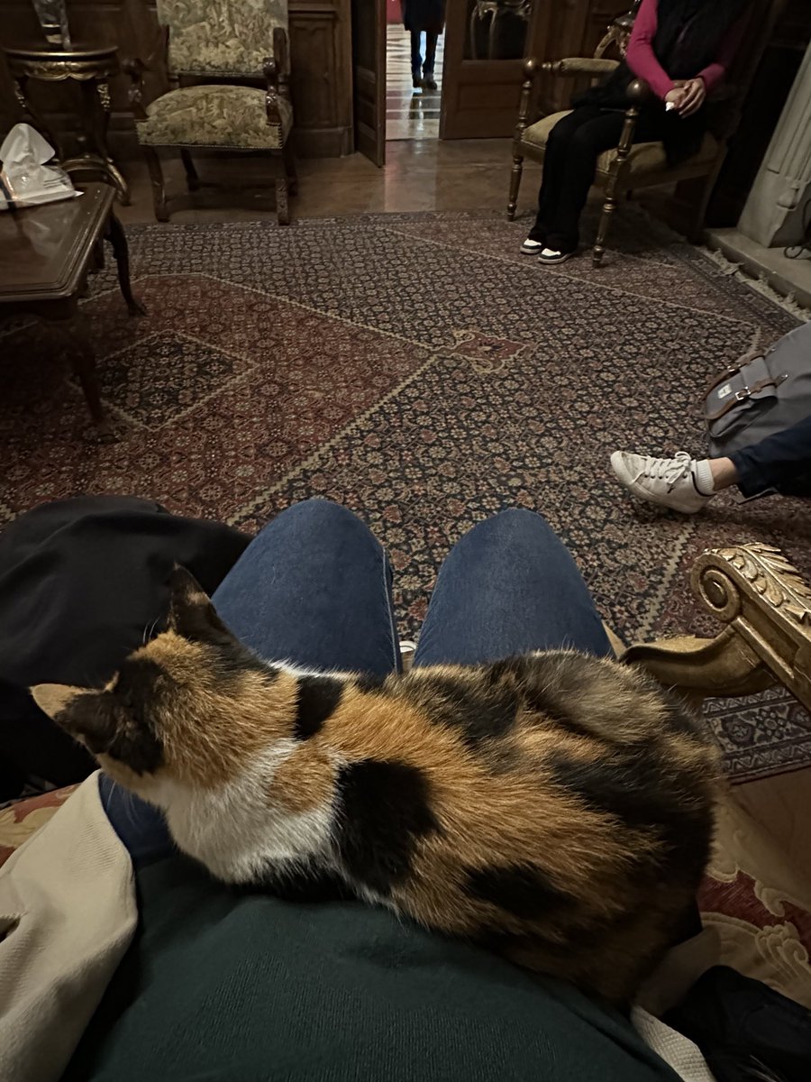 Dr Stephanie Boonstra tweet media