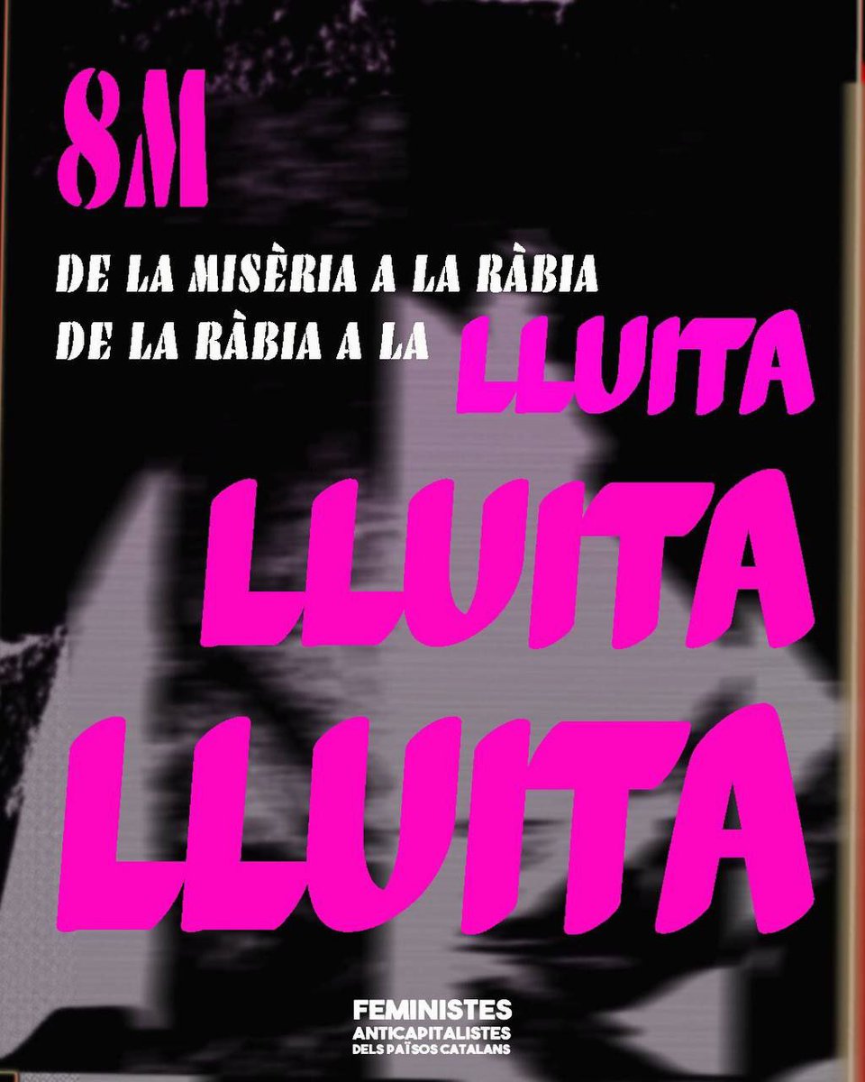 AssembleaFeministaVlc tweet media