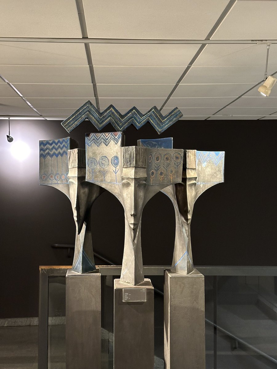 Dr Stephanie Boonstra tweet media