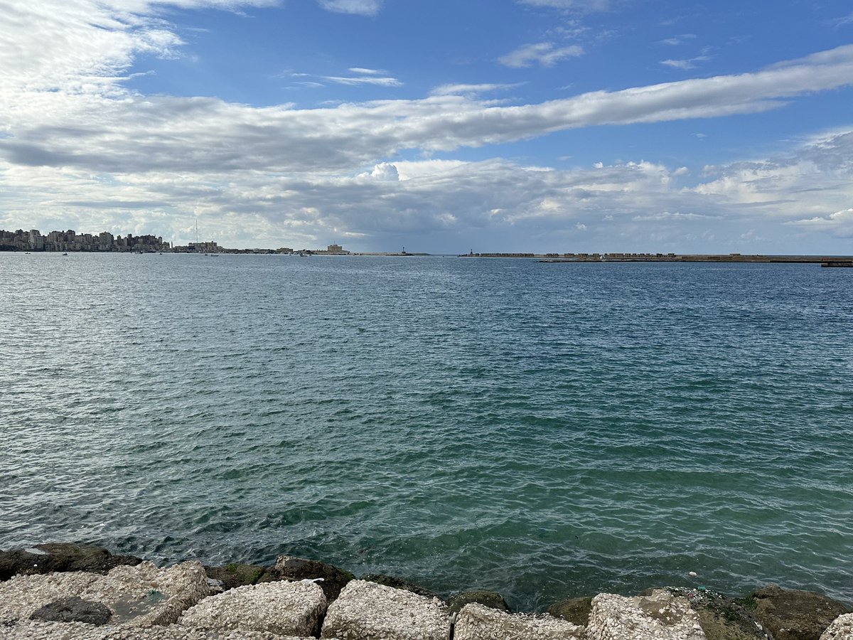 Dr Stephanie Boonstra tweet media