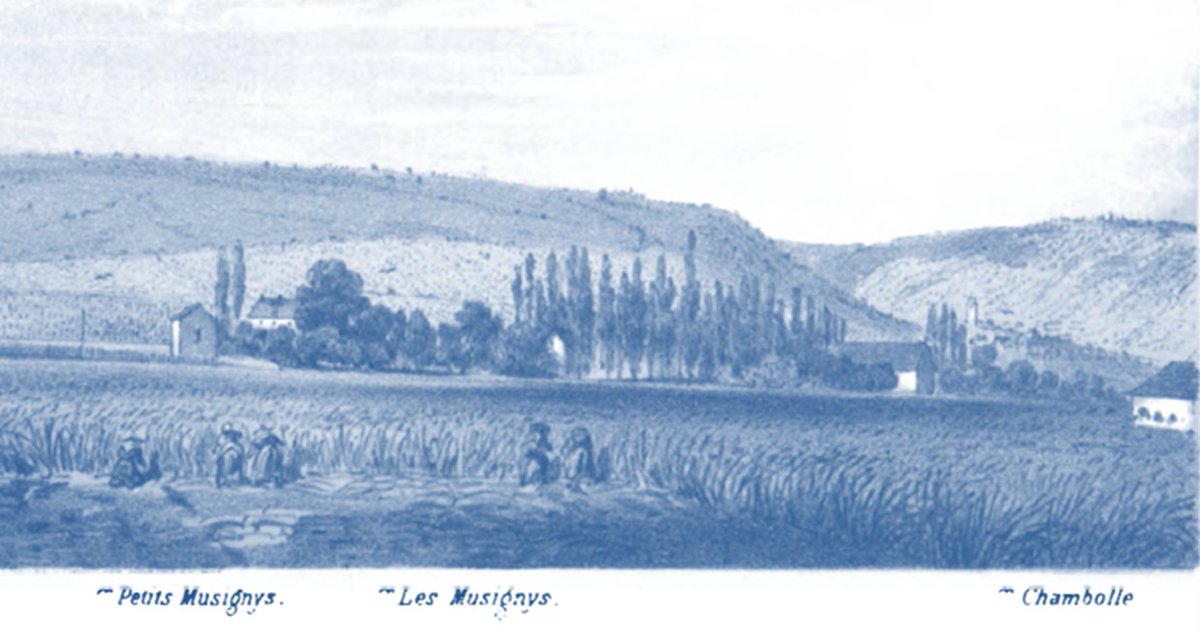villain_fred's tweet photo. 10 jours après la fantastique #SVT24 de Morey et Chambolle, petit retour sur cette gravure du paysage magnifique des #Musigny qui illustrait l'ouvrage de Jules Lavalle en 1855. Ce personnage fut le premier à classer systématiquement les @ClimatsUNESCO https://t.co/OdFp1WwFpk