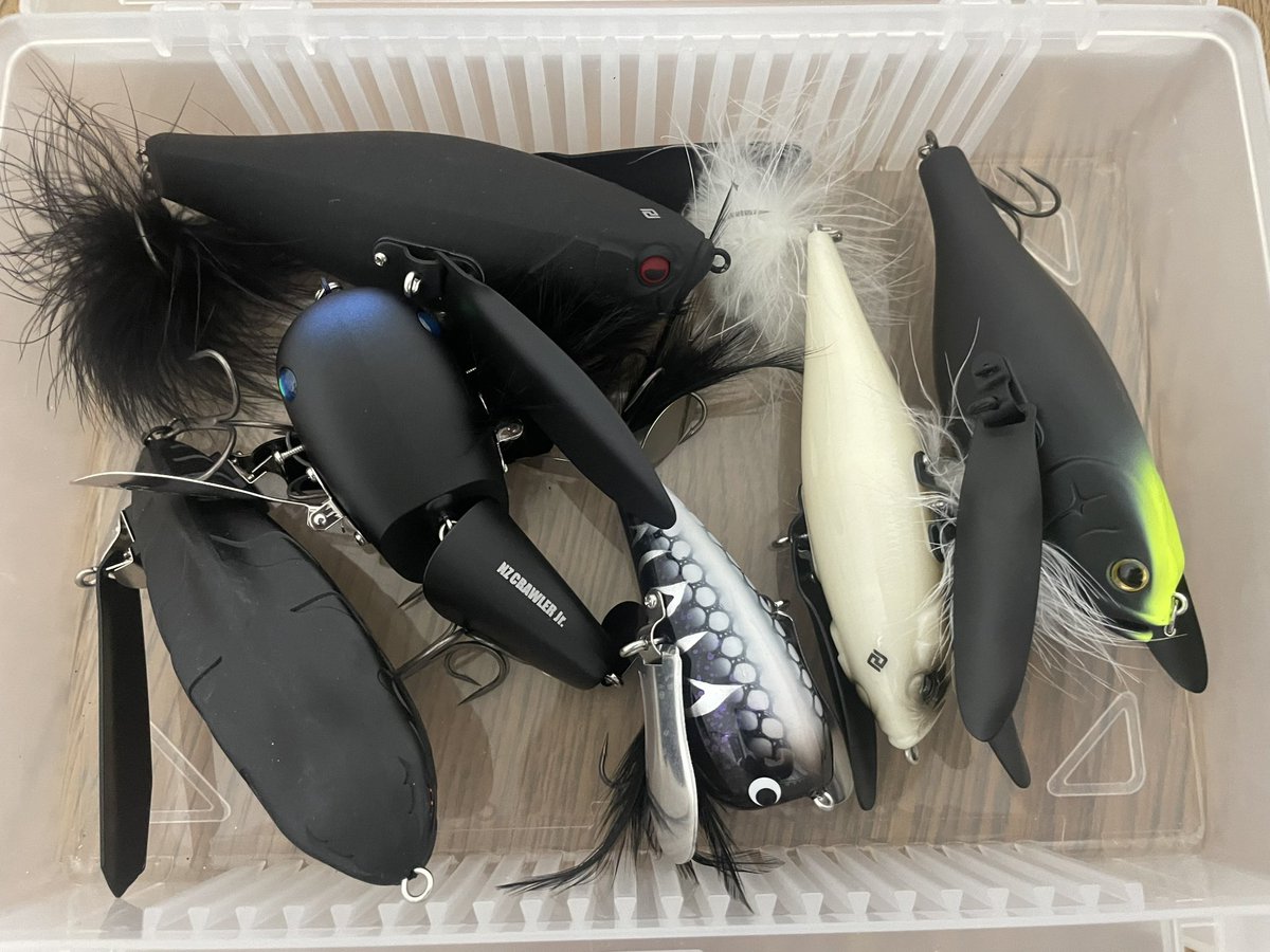 DOWZSWIMMER's tweet photo. オセロじゃないよデカハネだよ🪶
#デカハネGP
#BCGP https://t.co/5yIU2FIvII