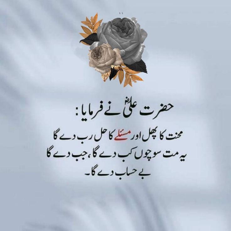 Bilkul 😍🥰🌹💫