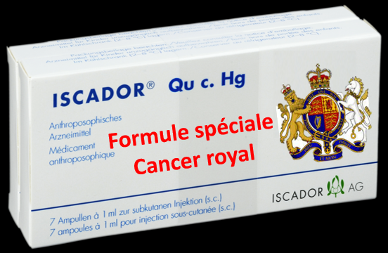 kiki2laro's tweet photo. "#Steiner save the #King" : la médecine selon l'#antroposophie au secours de #CharlesIII avec #Iscador formule spéciale, à base d'extrait de gui #biodynamique https://t.co/cjHdHQTNqu