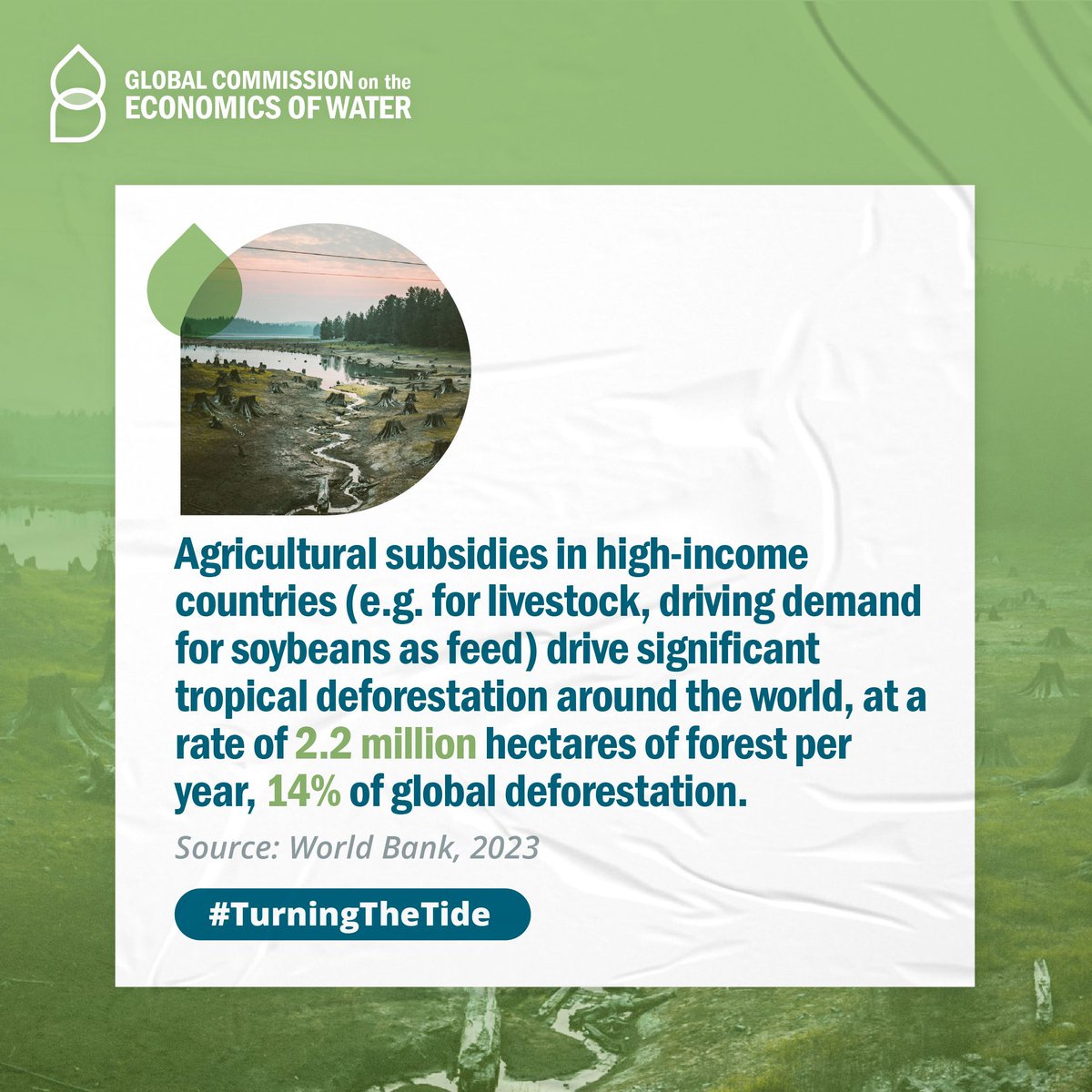 💰🌍🌾Agricultural subsidies in high-income countries drive significant tropical deforestation around the world. More info: bit.ly/3jOD0XU #TurningTheTide #ClimateCrisis