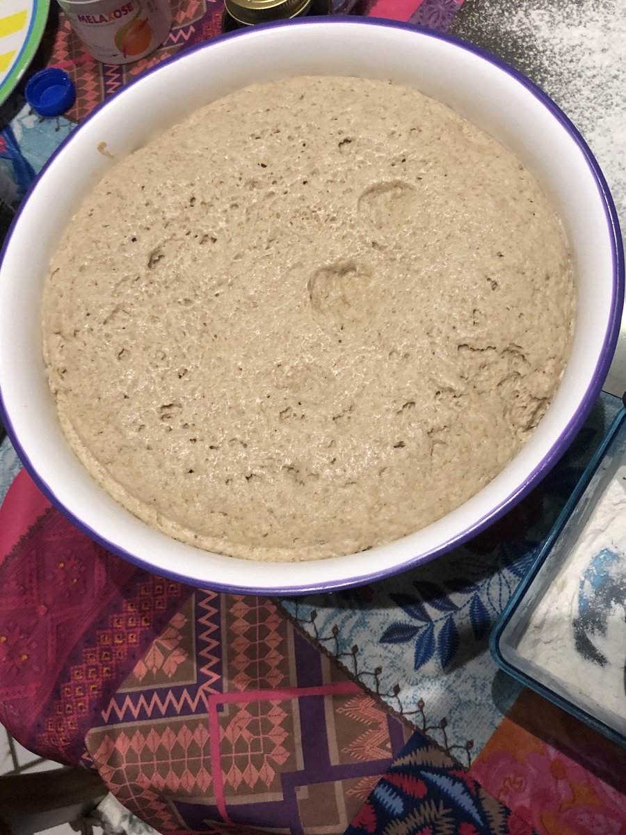 curvedway's tweet photo. #Sourdough stiff starter - #Russello Bio (80%) and #T110 (20% ) https://t.co/6Z4Pz2xYlS
