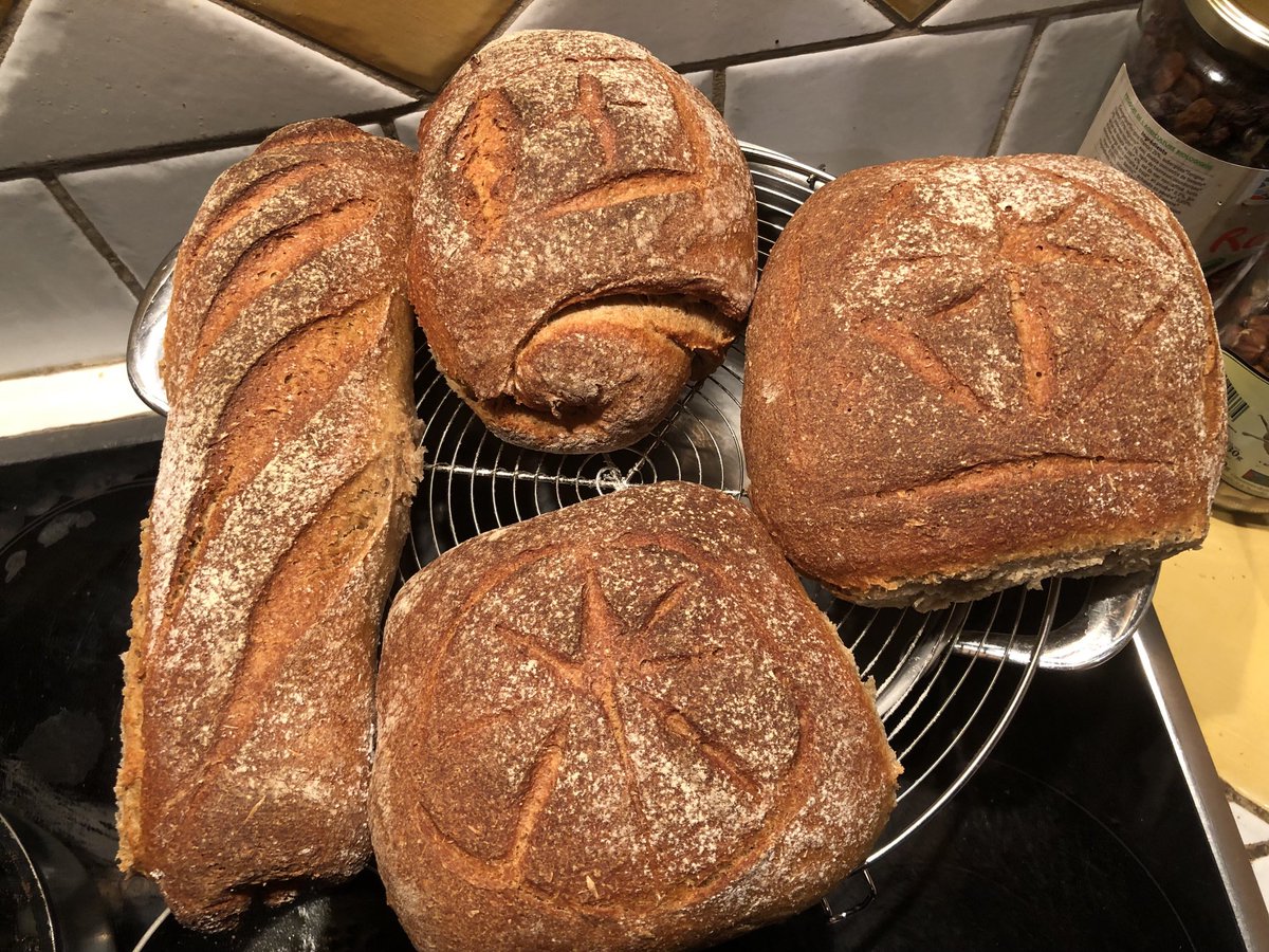 curvedway's tweet photo. #Sourdough stiff starter - #Russello Bio (80%) and #T110 (20% ) https://t.co/6Z4Pz2xYlS