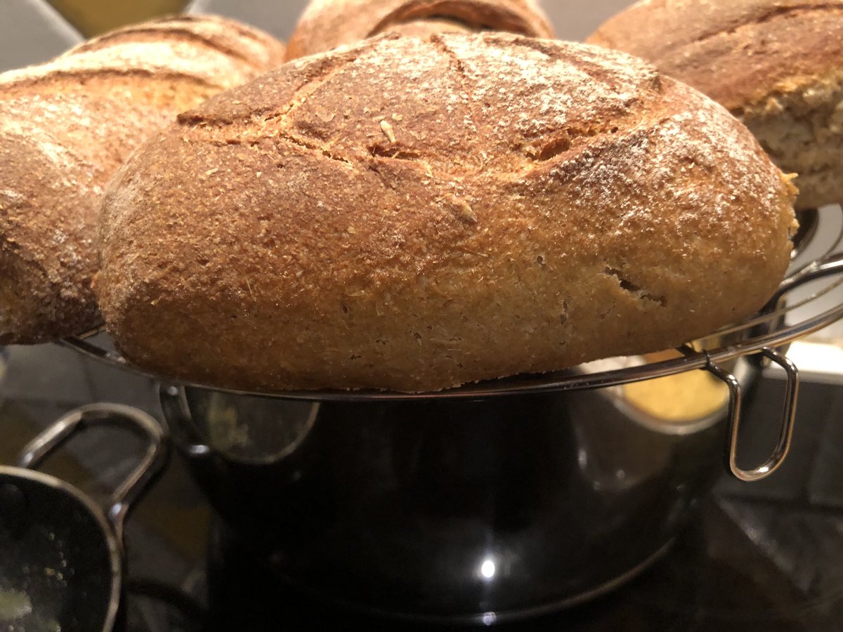 curvedway's tweet photo. #Sourdough stiff starter - #Russello Bio (80%) and #T110 (20% ) https://t.co/6Z4Pz2xYlS