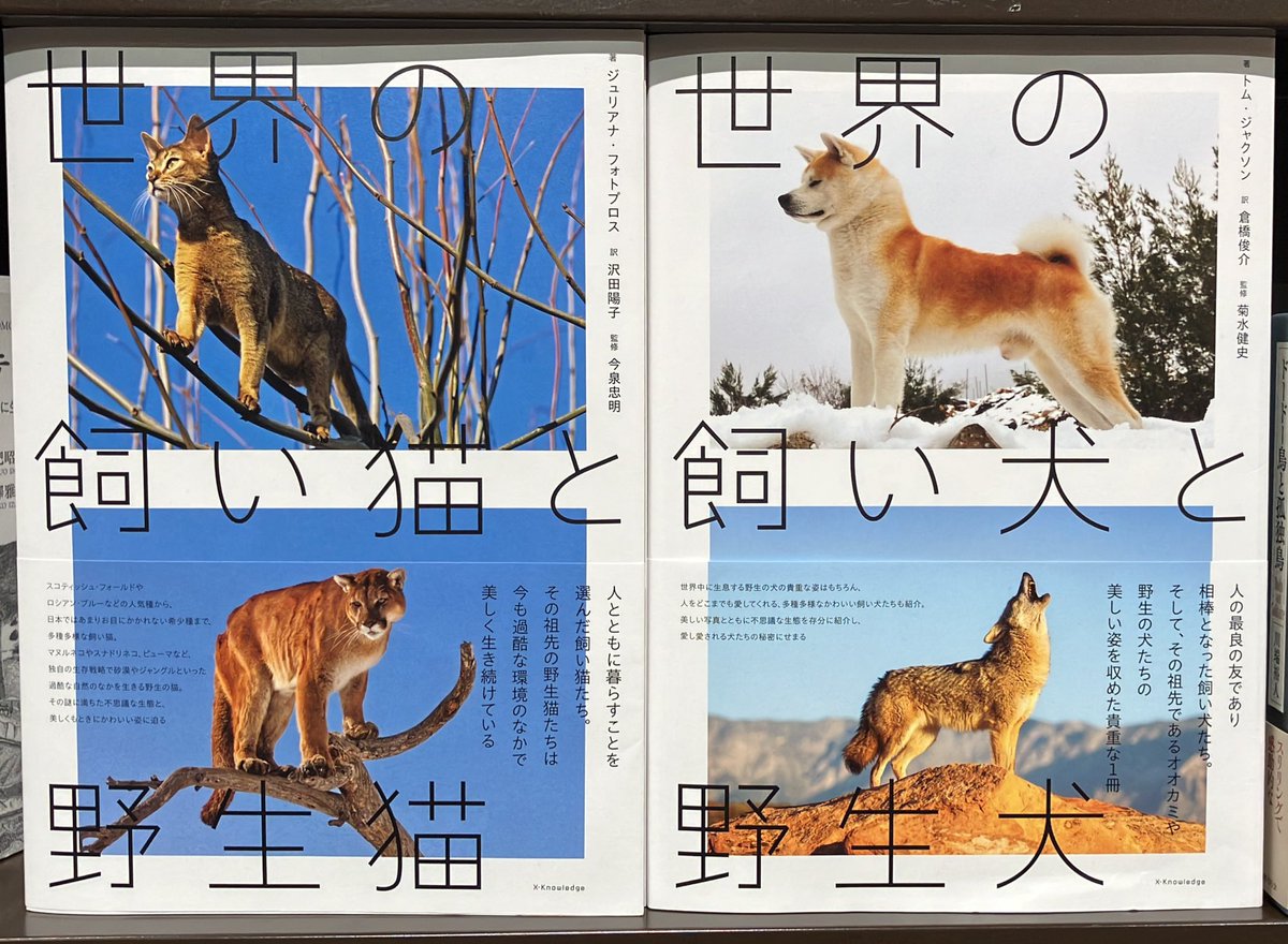 3階理工書『#世界の飼い犬と野生犬』『#世界の飼い猫と野生猫