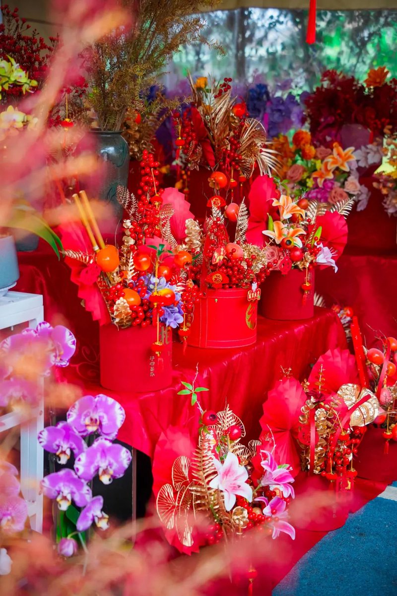 💐As the Chinese New Year approaches, many flower fairs have opened in #Zhaoqing, appealing to residents seeking to appreciate the dazzling flowers and make special purchases. 

🏮Come and enjoy the festivity! #NewYearinZhaoqing #CNYTravel #SpringFestivalShopping #FestiveMarket