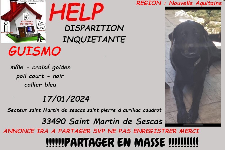 Kate23170's tweet photo. merci de RT pour nous aider a retrouver GUISMO disparu a Saint Martin de Sescas 33490 le 17/01/2024 svp . si infos : 0666485692

CONTACT FB : https://t.co/5QcTECHDpb

ou MP à @Kate23170 https://t.co/3MpivZLxkr