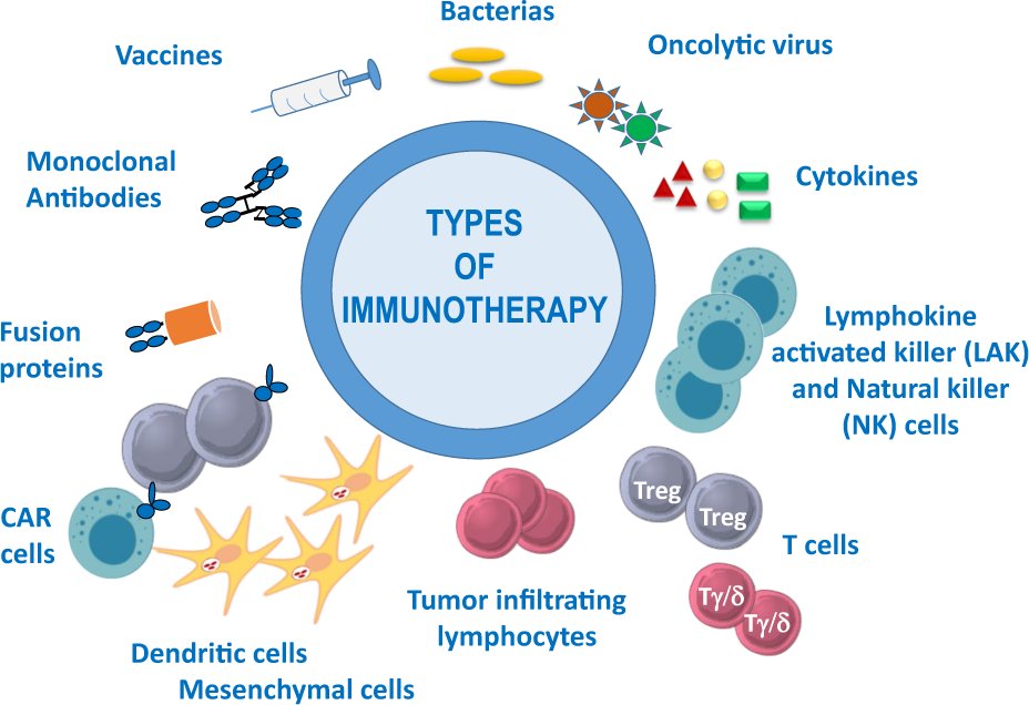 The immune system is a fascinating world of cells, soluble factors, interacting cells, and tissues, all of which are interconnected.
#immunity #monoclonalantibodies #membrane #genetic #aging #immunology #oncolytic #cytokines #fusion #allergicreaction #lymphokine #mesenchymalcells