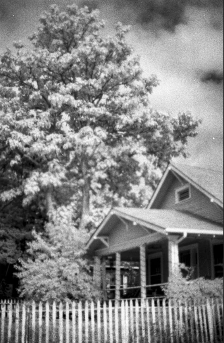 CryptoScuderia's tweet image. 5. Don’t think twice. It’s alright @Hugogami