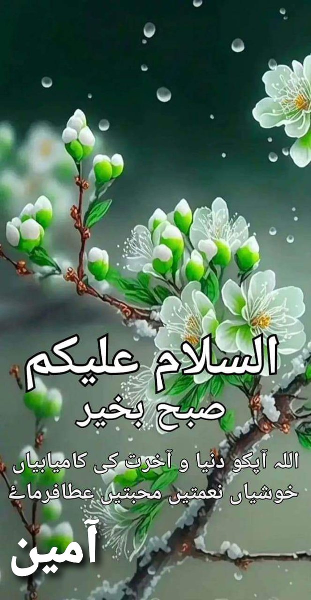 Waleedk4002's tweet photo. Sallam good morning x family https://t.co/GaxJsXeuyn