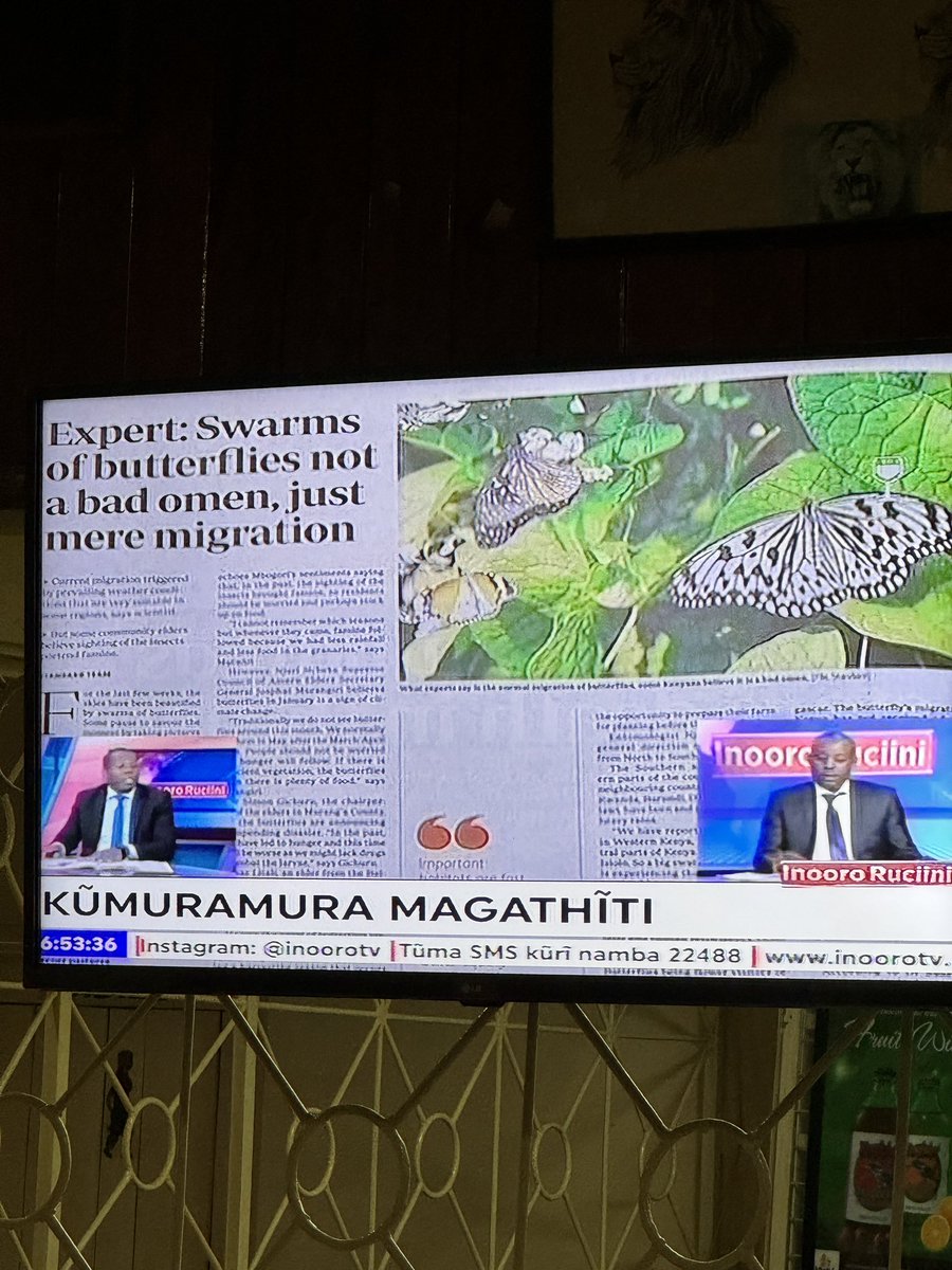 CornwallHand's tweet image. 10 min story on Kenyan TV this morning. Thought of you @WillLeoHawkes @flygirlNHM