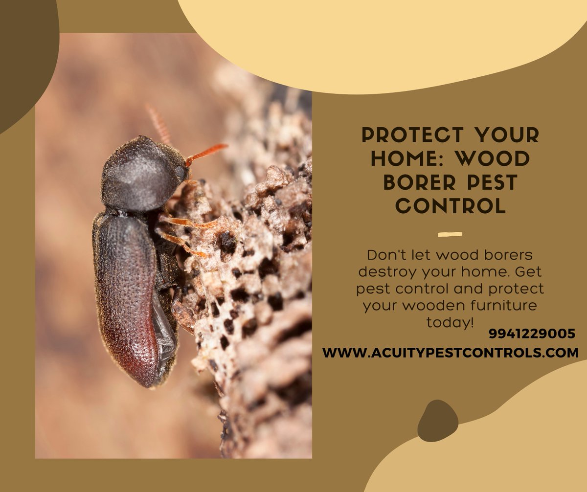 Keep your wood pest-free to know more contact us today at acuitypestcontrols.com
#woodborer #woodworker #woodworkingproject #awareness #woodcarving #woodburning #ByeByeModi