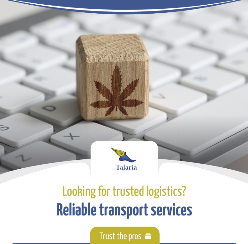 TalariaT's tweet photo. Navigating Complexities of Cannabis #Transportation: From stringent compliance measures to unique licensing requirements, @TalariaT ensures the secure &amp; safe delivery of cannabis products. How can we help you?

#cannabisindustry #logistics #LogisticsInnovation #supplychain https://t.co/R7vj6lncop
