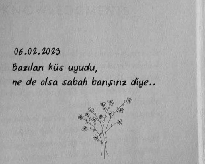 "Şubat ayı en kısa aydı ama 
Tarihin en uzun acısını yazdı..!