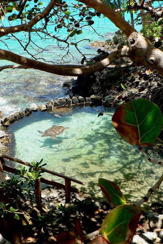 Island