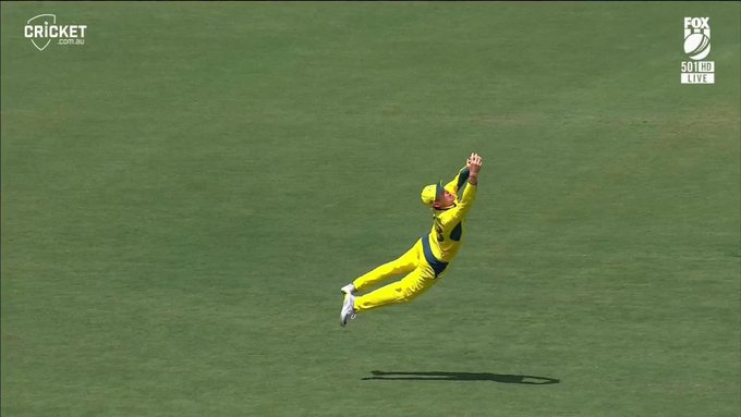 MARNUS! 🤯 What a catch - and first international wicket for Lance Morris too! 📹 Credits: Twitter/cricketcomau
