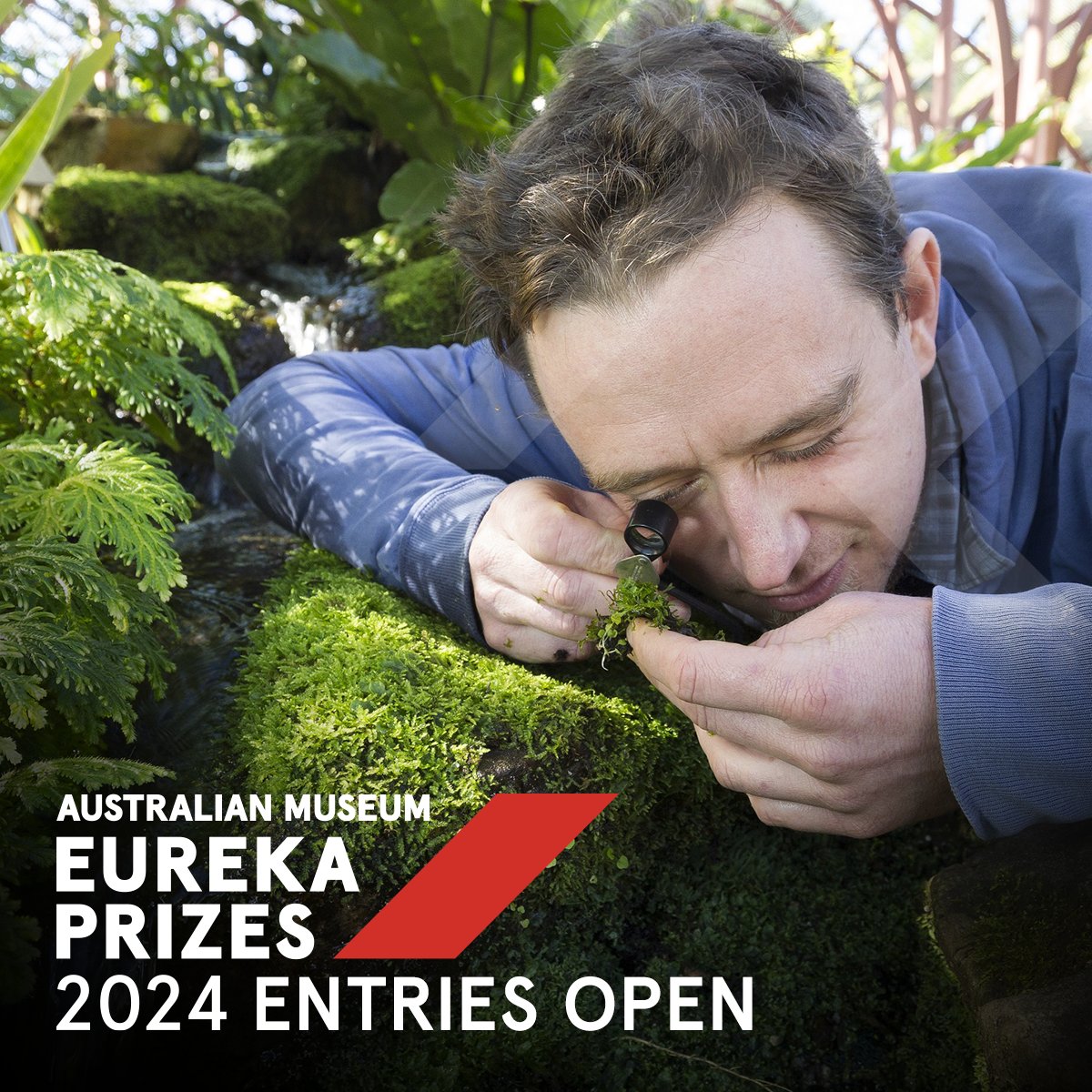 🌿 Are you a seed scientist, ecologist or plant physiologist? 🍃 Has your research led to the conservation of Australian plants? Learn more about the @BotanicSydney Eureka Prize for Excellence in Botanical Science, open to individuals and teams: australian.museum/get-involved/e…