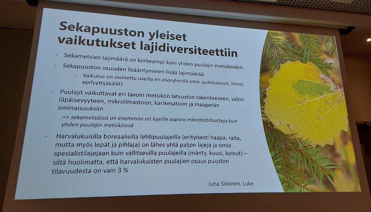 Puuta jalostavan teollisuuden monimuotoisuustilaisuus järjestettiin eilen Tampereella. @HuuskonenSaija
<a href="/LukeFinland/">Luonnonvarakeskus</a> kertoi sekapuustoisuuden roolista monimuotoisuuden edistämisessä sekä sopeutumisessa ilmastonmuutokseen.
<a href="/metsateollisuus/">Metsäteollisuus</a> <a href="/Sahateollisuus/">Sahateollisuus ry</a>