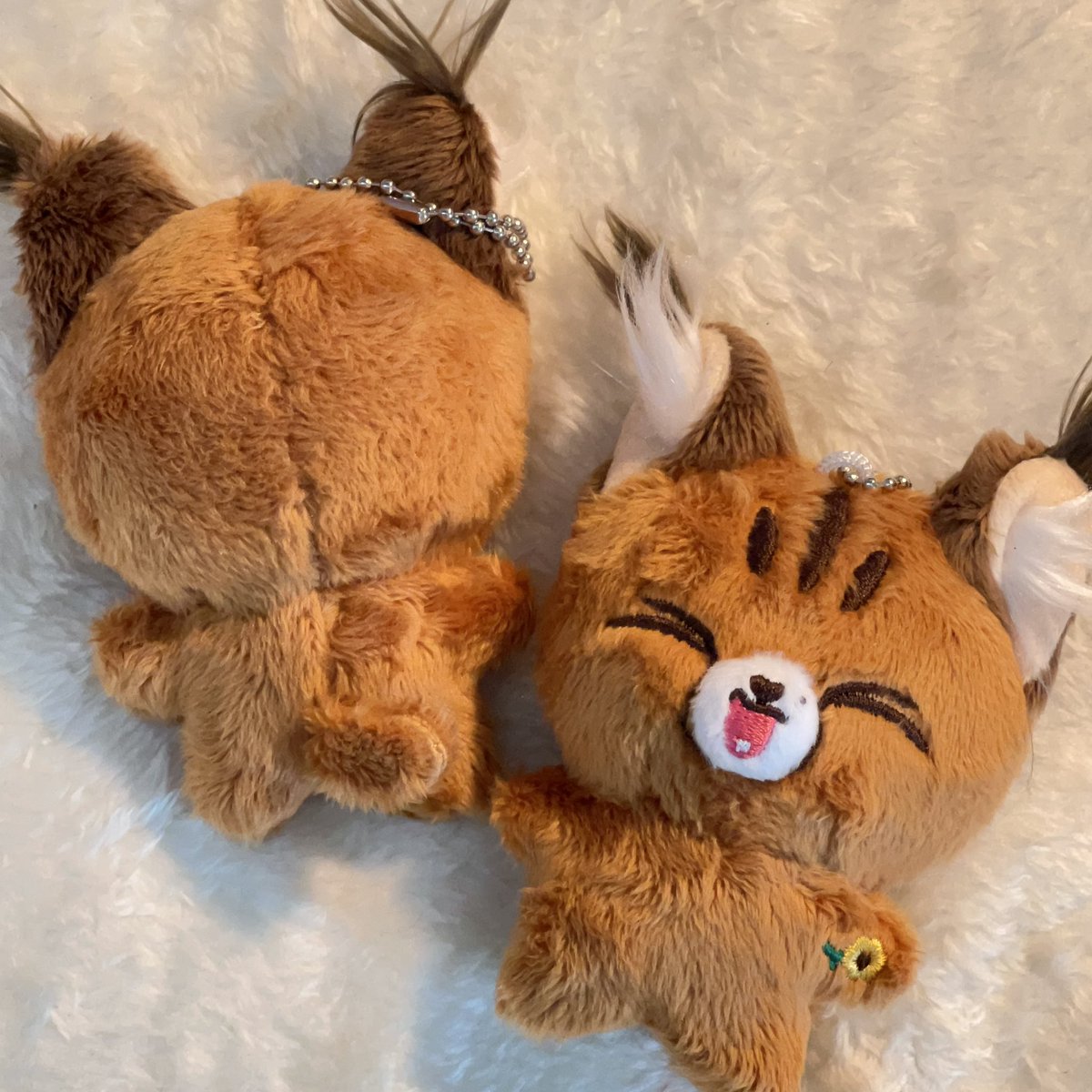 Pls RT~

[SURVEY] Baby Youngho cal
10 cm. &amp; 40 cm.

แบบฟอร์มนี้เป็นเพียงฟอร์มสำรวจความสนใจเท่านั้นไม่ใช่ฟอร์มพรีออเดอร์นะคะ หากใครสนใจสามารถอ่านรายละเอียดได้ในฟอร์ม🙌🏻

Detail: forms.gle/uiFtZFtRBVd221…

หากใครมีคำถามสามารถ dm/เมนชั่น ได้เลยนะคะ🫶🏻

#johnny #ตุ๊กตาnct #ตลาดนัดnct