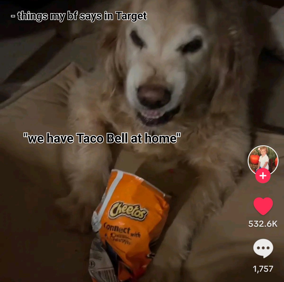 𝖘𝖛𝖊𝖓𝖏𝖆𝖒𝖎𝖓 ⛓️ tweet media