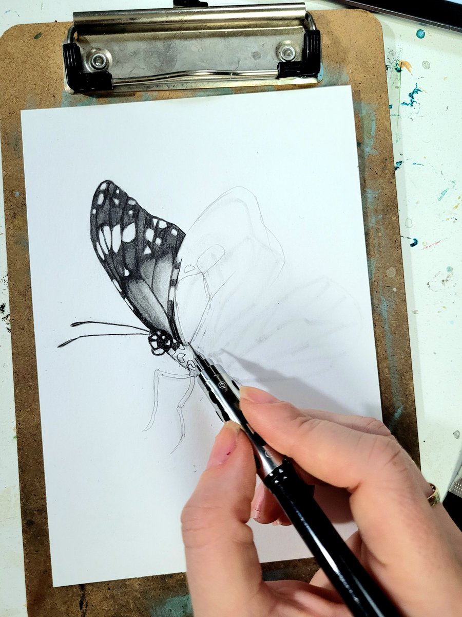 I've been getting back into a more consistent drawing practice this year. I tend to cycle through mediums but consider drawing to be a foundational skill. 
#pencilsketch #pencilart #butterfly #monarchbutterfly #drawing