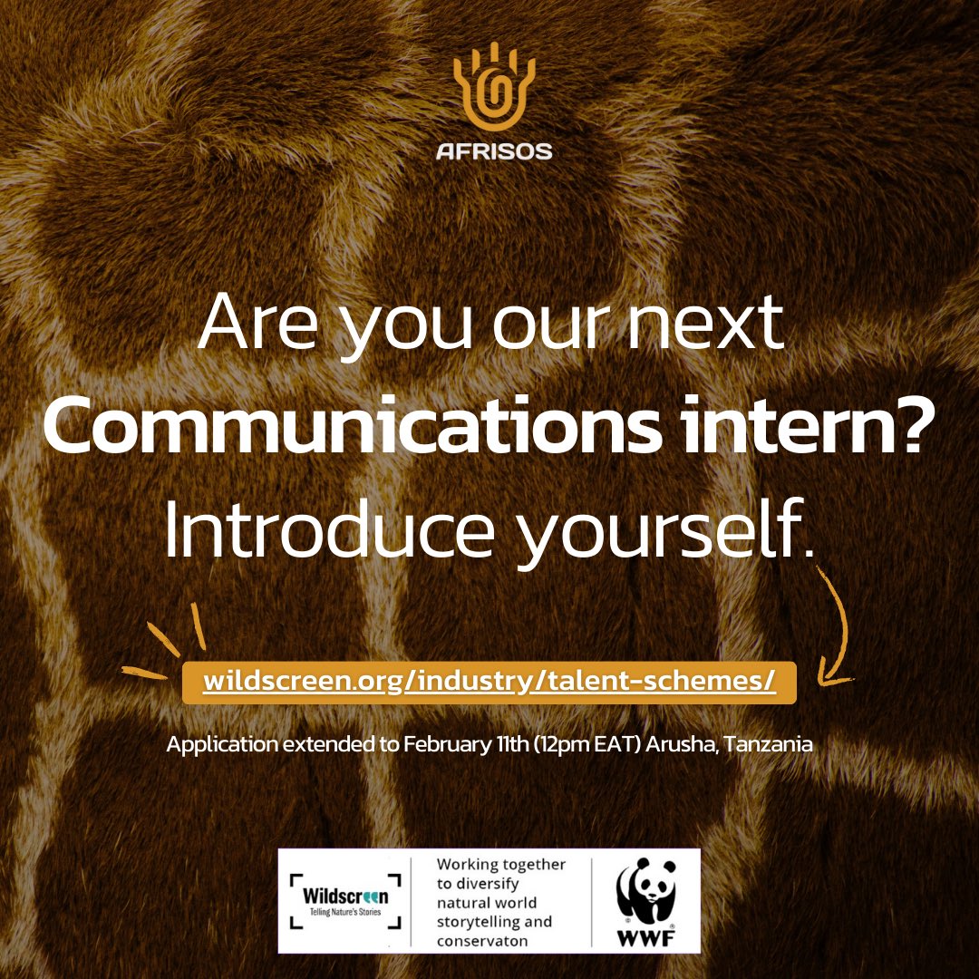 🌍 WE ARE BACK WITH ANOTHER AMAZING INTERNSHIP OPPORTUNITY! AFRISOS is launching a unique new Communications Paid Internship with @WildscreenFest in Arusha, Tanzania! 📆 Deadline: Feb 11th (12PM EAT) Hurry up and tap the link below to apply now!👇 wildscreen.org/industry/talen…