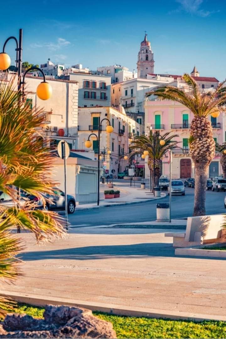 🇮🇹 Vieste, Foggia, Puglia
📷 Tamara Kašikovič

#vieste #foggia #puglia #travel #travelplace #travelphoto #italy #italytrip #italytravel #italyiloveyou #italia #italytour #italystyle #italylovers #italyan #italytourism #italyphotographer #italyphoto #italianstyle #italyintheheart