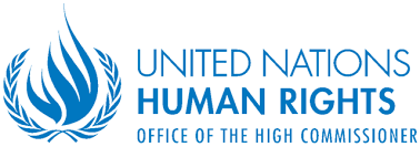 Apply now for a 3-6 month internship at UN Human Rights in Geneva - come work with me! careers.un.org/jobSearchDescr…
