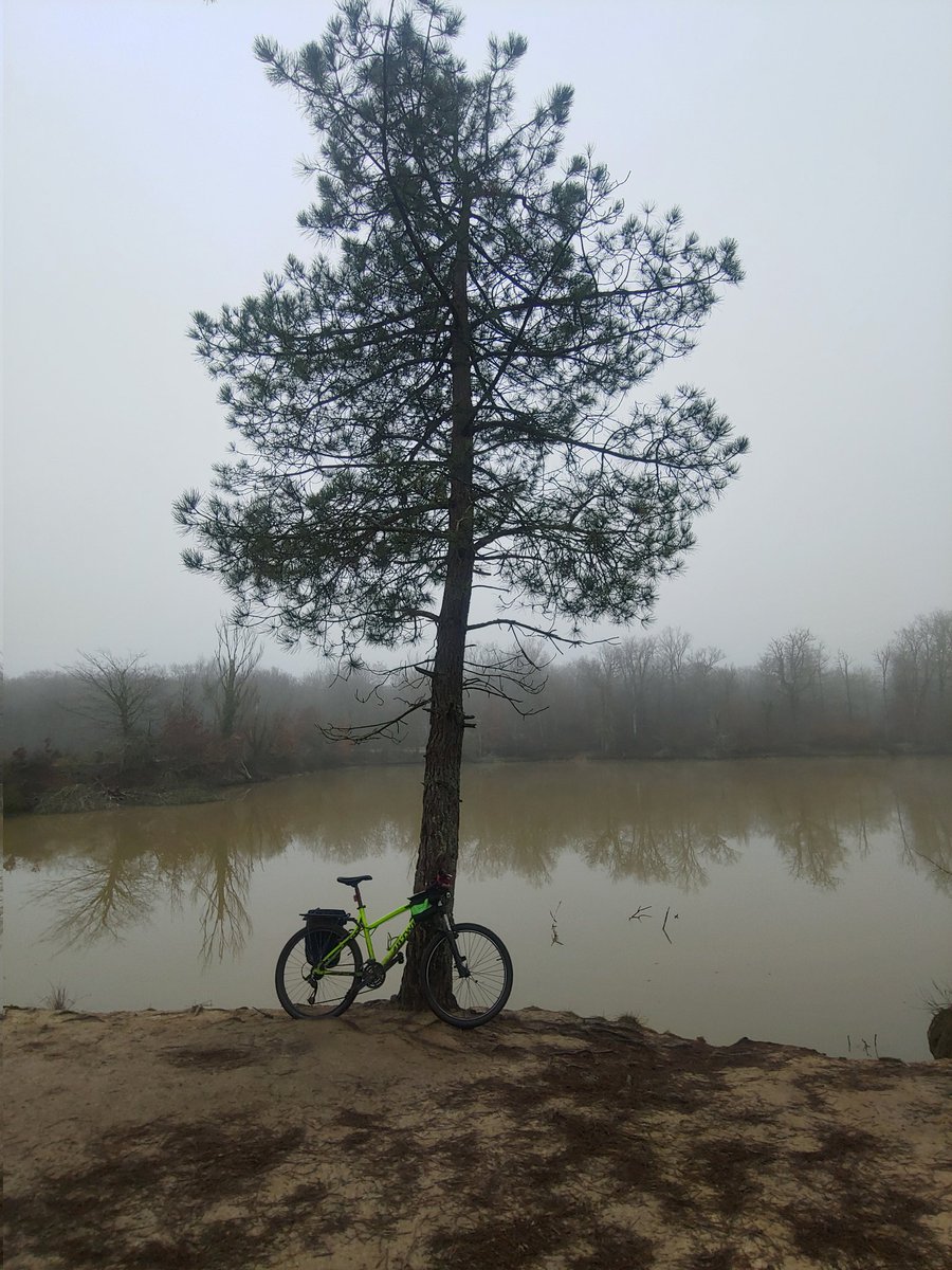 Bonjour tout le monde 😀
Ça y est, mon vélo a dépassé les 40 000kms 💪  #treeride
 #JaimelesArbres  #amiesdesarbres  #arbredumatin. 🌳🌳🌳💚💚💚💚