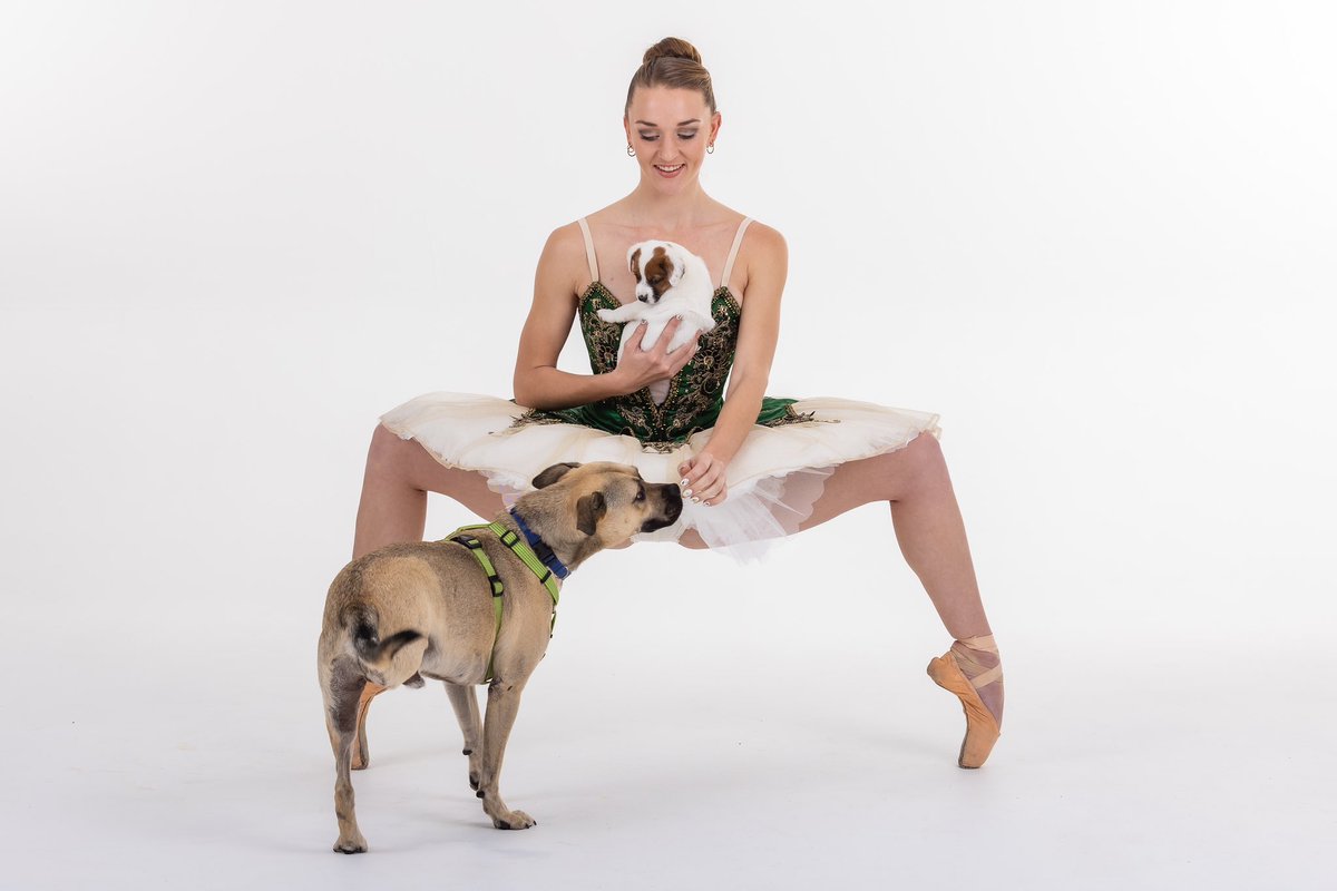 We have reached over 
2️⃣2️⃣ 0️⃣0️⃣0️⃣ sterilisations ! 
Dancers Love Dogs 

Bronwyn Craddock with Orion &amp; Jan 

Photographer: Ingrid Owen
TM Studios and Photography

Dogs - our grateful thanks to GRACE Animal Sanctuary