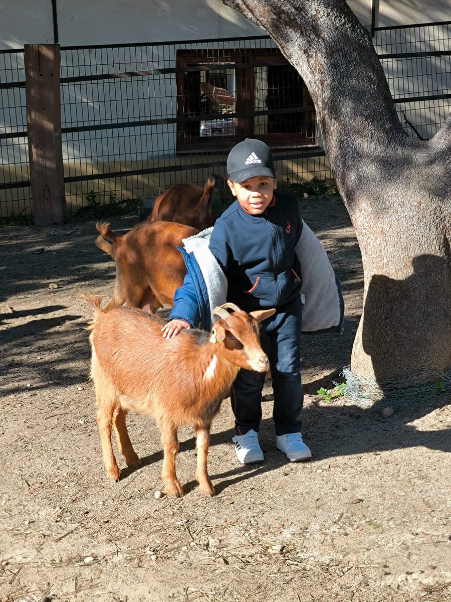 divpasmad's tweet photo. Dentro de nuestro proyecto ABP “Mi pequeño Mundo” los alumnos de primero estuvieron en la Granja-Escuela. Tuvieron un contacto directo con la naturaleza y muchos animales. Aprendieron lo importante que es cuidar de los seres vivos #EQTMD #SomosFranciscanas #ProyectoABP https://t.co/x7b2PyvsUn