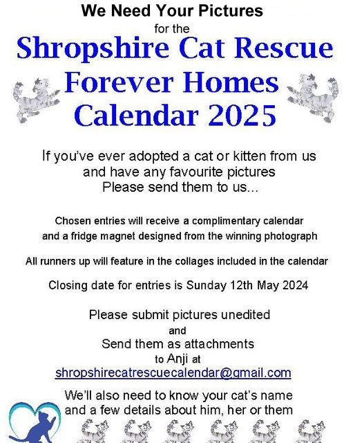 @ShropsCatRescue need your pictures for their forever homes 2025 calendar. 😺 📷
If you have adopted a cat from SCR, and would like to enter your favourite pictures of them for the calendar, please send by e-mail to : shropshirecatrescuecalendar@gmail.com
#RescueCat #ForeverHomes