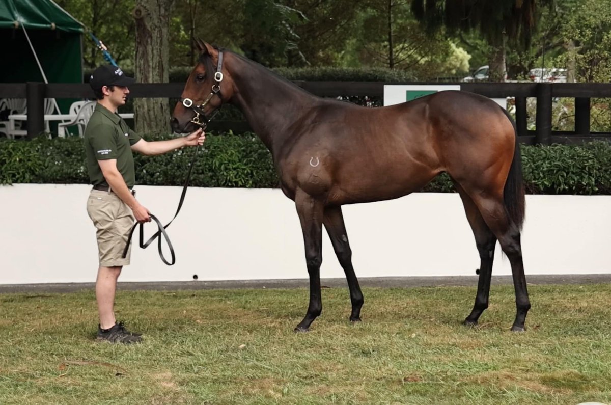 Duncan Ramage tweet media