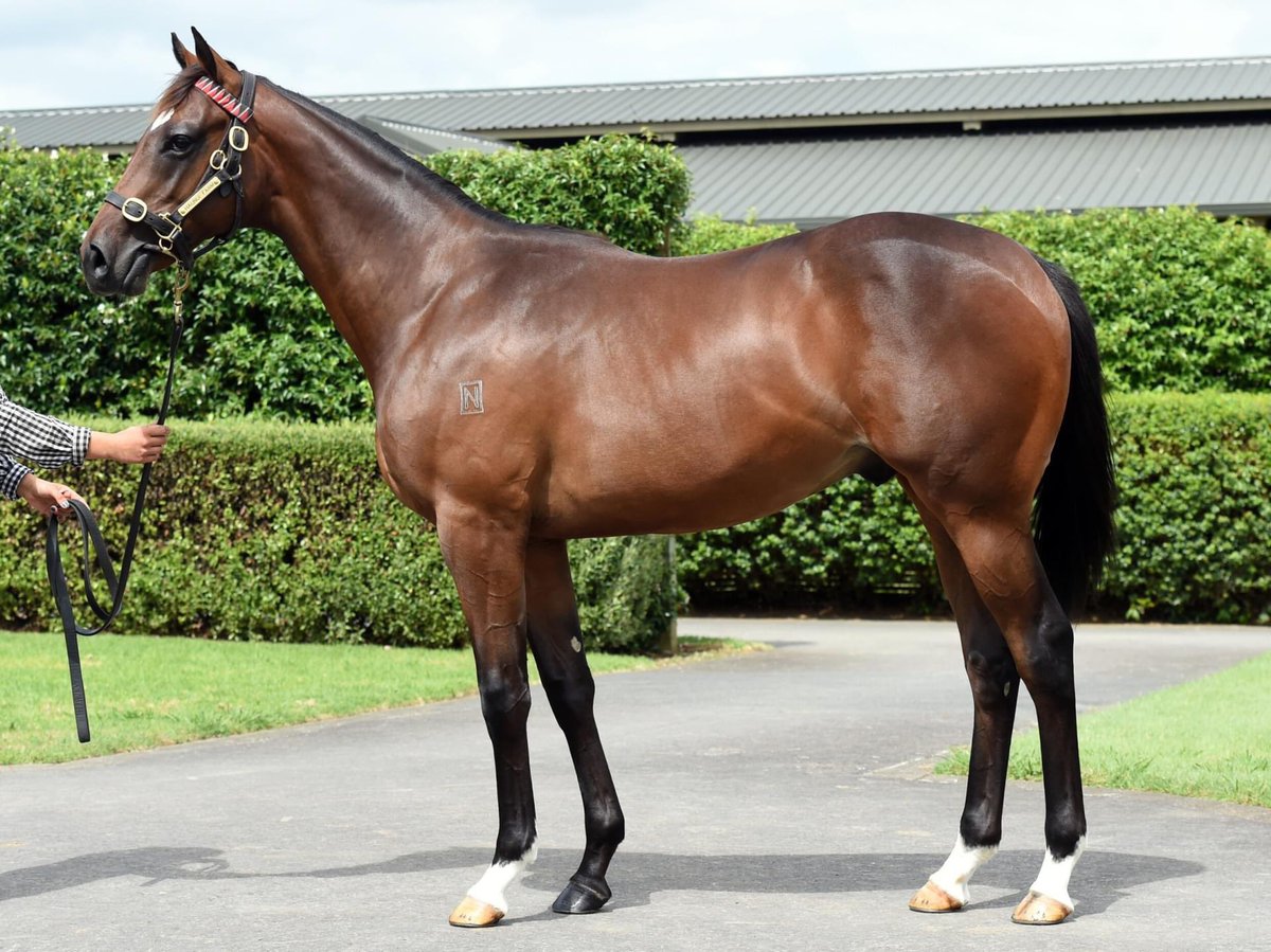 Duncan Ramage tweet media