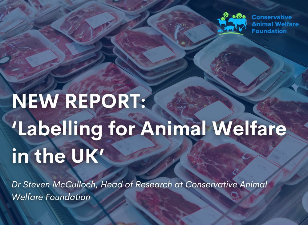 This morning we have published our new report 'Labelling for Animal Welfare in the UK' authored by our Head of Research @SteveMcCVet which makes the case for mandatory animal welfare labelling in the UK. Read the full report here: …nservativeanimalwelfarefoundation.org/resources/1318… #Labelling