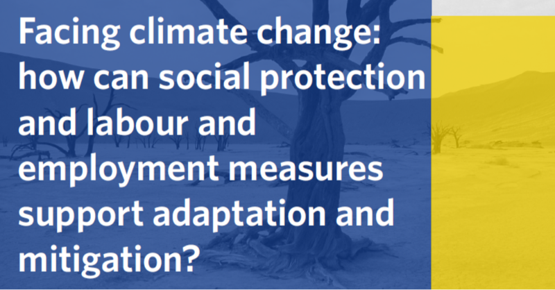 fiap_es's tweet photo. 👩🏽‍💼🌿 Employment policies to tackle #ClimateChange?

💡 Learn how social security systems can protect and prepare people to adapt to socio-economic shocks caused by climate change👇🏽 

@SOCIEUXplus @expertisefrance @AFD_en @Enabel_Belgium @BELINCOSOC