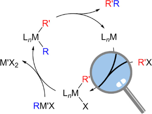 Organometallics (@orgmet_acs) on Twitter photo Time to learn: Our latest <a href="/Orgmet_ACS/">Organometallics</a> Tutorial comes from Konrad Koszinowski at Universität Göttingen: Observation and Characterization of Single Elementary Reactions of Organometallics. Please have a look and share with your friends and colleagues pubs.acs.org/doi/10.1021/ac… Time to learn: Our latest <a href="/Orgmet_ACS/">Organometallics</a> Tutorial comes from Konrad Koszinowski at Universität Göttingen: Observation and Characterization of Single Elementary Reactions of Organometallics. Please have a look and share with your friends and colleagues pubs.acs.org/doi/10.1021/ac…