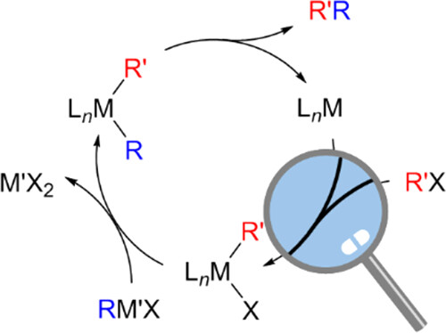 Time to learn: Our latest @Orgmet_ACS Tutorial comes from Konrad Koszinowski at Universität Göttingen: Observation and Characterization of Single Elementary Reactions of Organometallics. Please have a look and share with your friends and colleagues pubs.acs.org/doi/10.1021/ac…